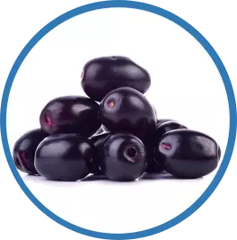 jamun