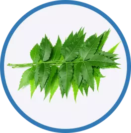 neem